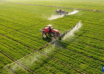 NABI YUSUF SEBAGAI BENDAHARAWAN NEGARA DALAM AL-QUR’AN: