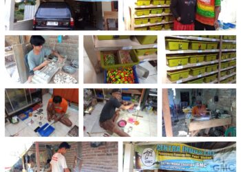 Dari Hobi Memancing ke Industri Kreatif, Pelet “Kambangan” Karya Guru Ponorogo Tembus Pasar Nasional